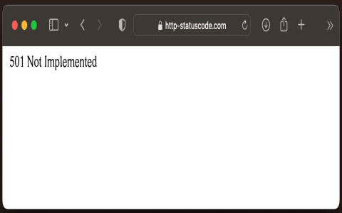 Meaning of 501: Not Implemented Error Explained Simply and How to Troubleshoot It Quickly