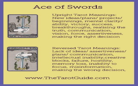 Ace of Swords and Ace of Cups: A Tarot Reading for Your Relationships!