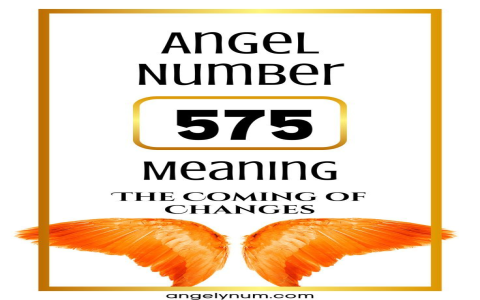 Seeing 5335 Angel Number a Lot? Its a Sign! Heres What it Means.