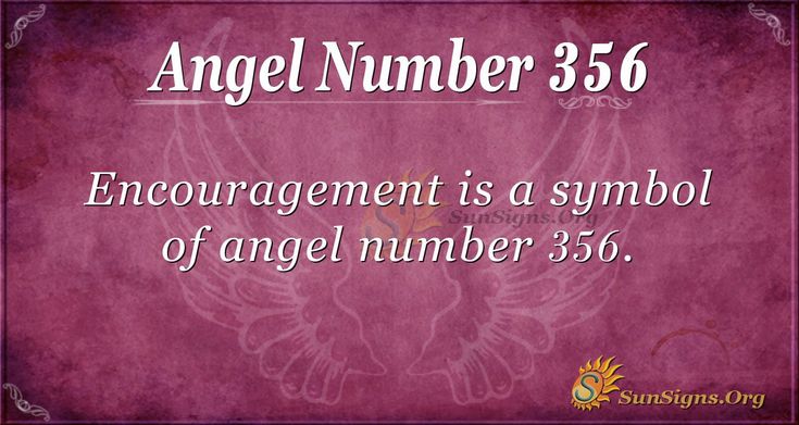 What does it mean when you keep seeing 356 angel number? Find out what it really means.