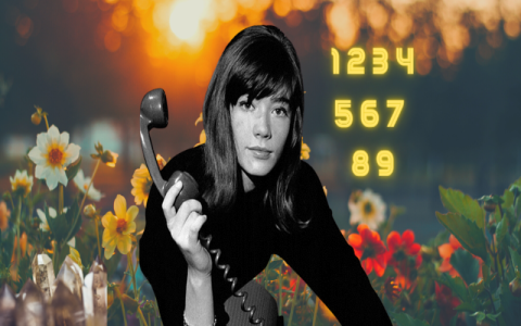 567 Angel Number: What Does It Mean for Your Love Life and Career?