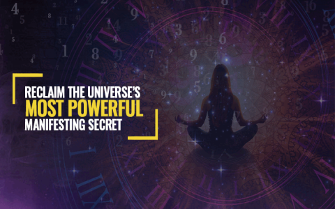 Life Path Number 40: What Does It Mean for You? (Simple Guide)