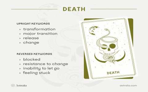 The Moon Reversed Tarot: What Does It Mean for Your Love Life?