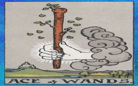 2 of Wands Zodiac Sign: Learn How to read it, quick and easy