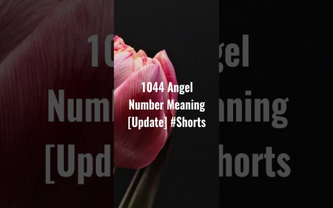 Angel Number 1044: What Does It Mean (Simple Guide to 1044)