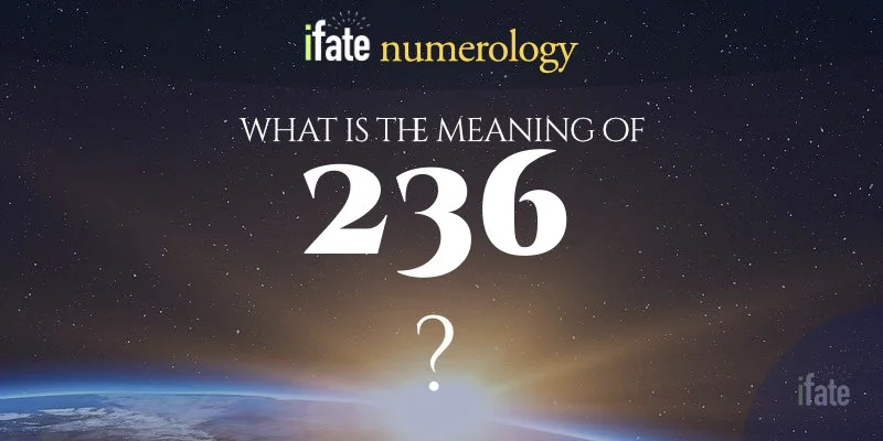 Need the 236 Meaning? Get the Answer Now! (Explained)