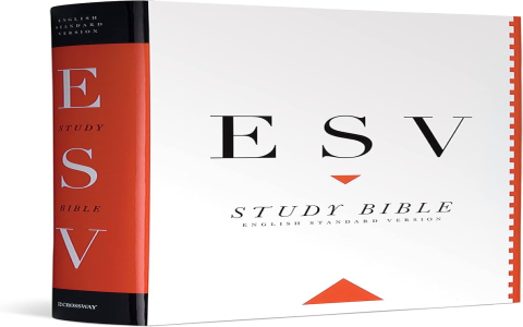Biblical Meaning of Number 47: Easy Guide & Quick Facts for You!