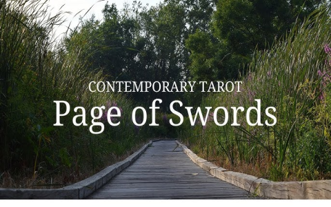 Learn the Queen of Swords Time Frame: Simple Tarot Guide