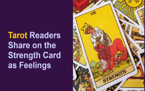 Queen of Wands as a Mans Feelings: Passion and Attraction?