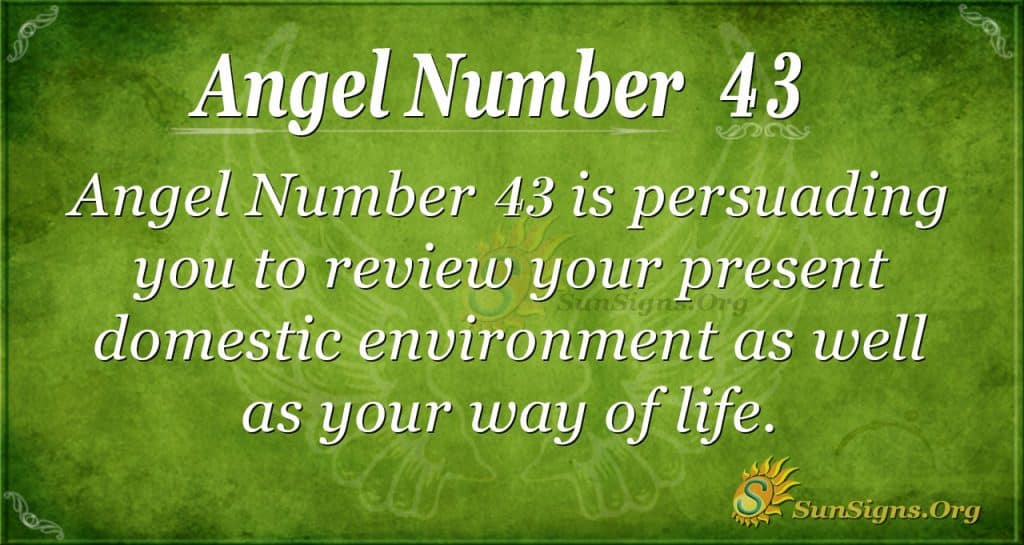 What Does 43 Mean? (Urban Dictionary, Numerology & More)