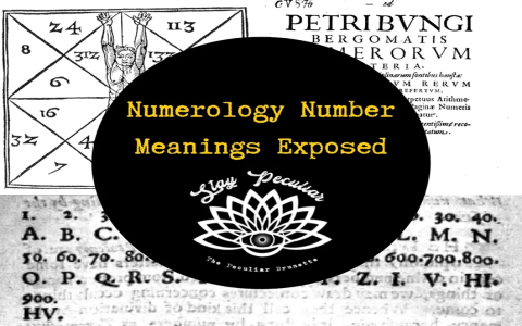 48 Numerology: What Does it Mean? (Simple Guide)
