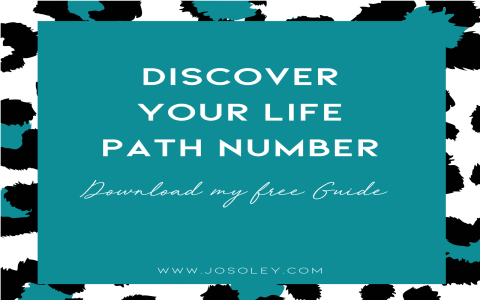 Unlock Your Potential with Life Path Number 11/2 (Easy Tips)