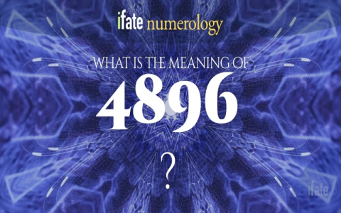What is 504 Angel Number? A Quick Guide to Its Spiritual Significance.