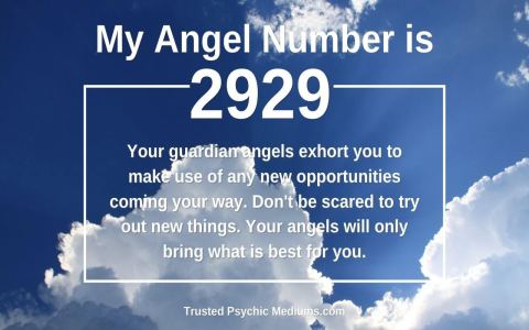 Seeing 129 Angel Number? Find Out What It Really Means!