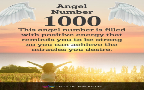 Angel Number 649: What Does It Mean for Your Life?
