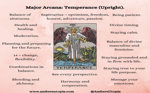 Temperance Tarot Advice for Your Career: Find Out How to Achieve Balance and Success Today.