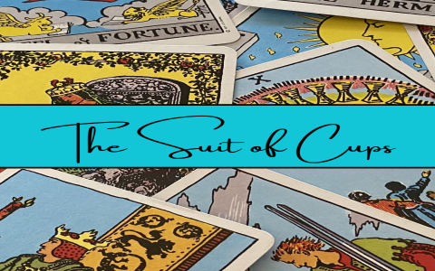 Seven of Cups Reversed Feelings: Escaping Fantasy or Finding Focus?