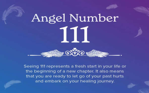458 Meaning: What Does It Really Mean? (Simple Guide)