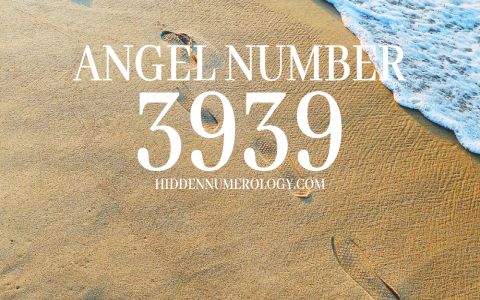 Seeing 343 Angel Number Twin Flame? Discover the Secret Message Now!