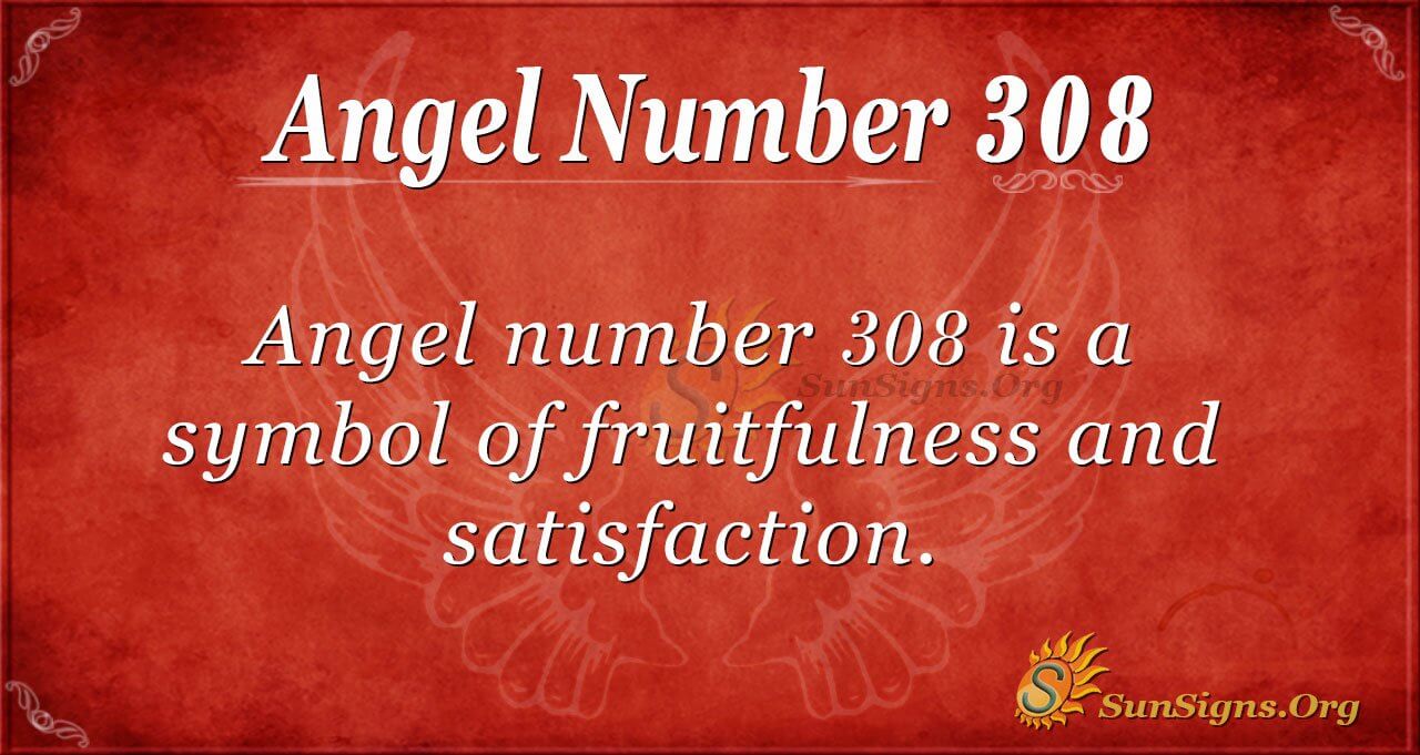 308 Meaning: What Does It Really Mean (Simple Explanation)