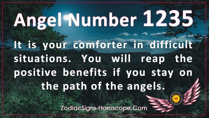 1235 Angel Number: Easy Tips to Figure Out Its Message for You!