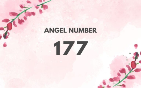 What Does 5858 Angel Number Mean? Discover the Secret Messages!