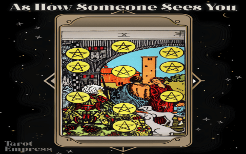 Tarot Coin Readings: What Can a Single Card Tell You?