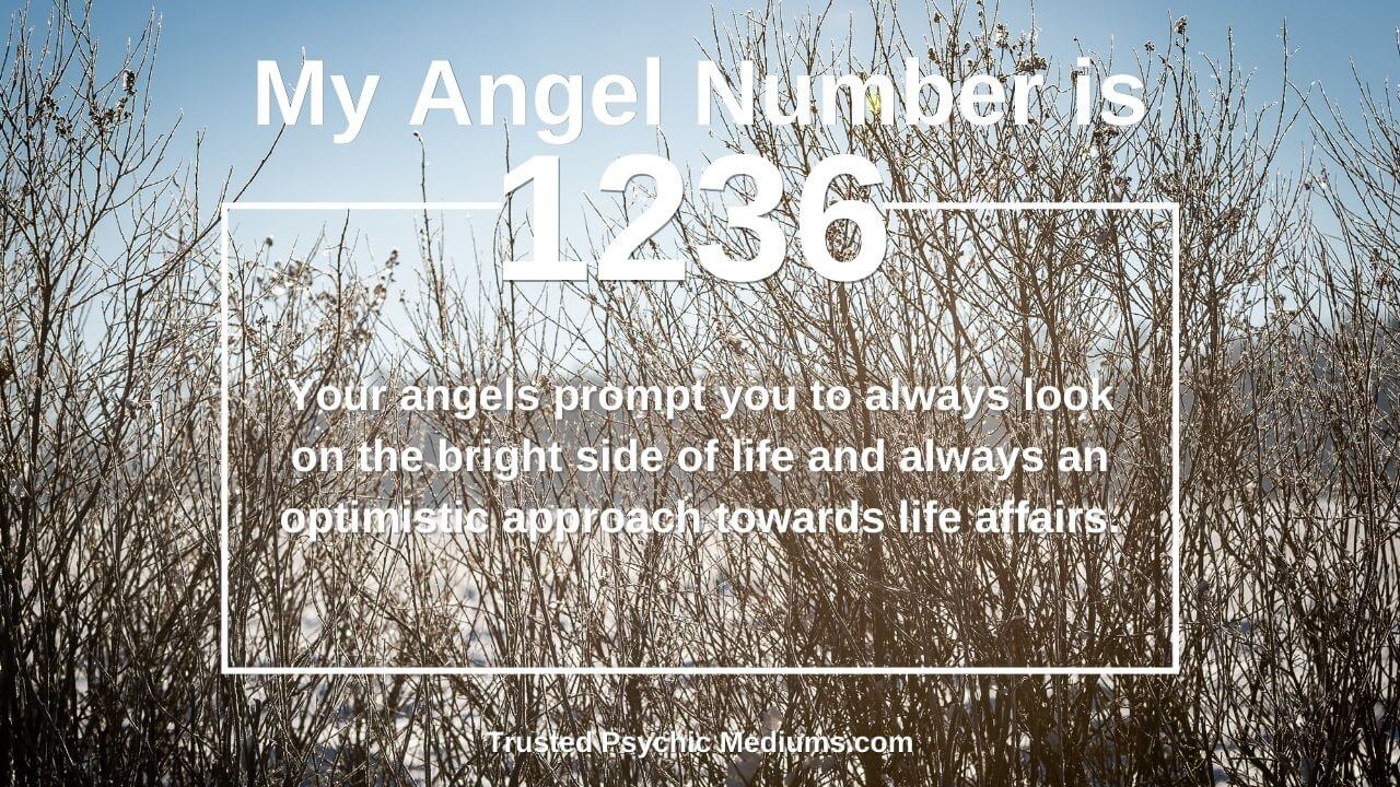 Seeing 1236 Angel Number? Discover the Spiritual Meaning Now!