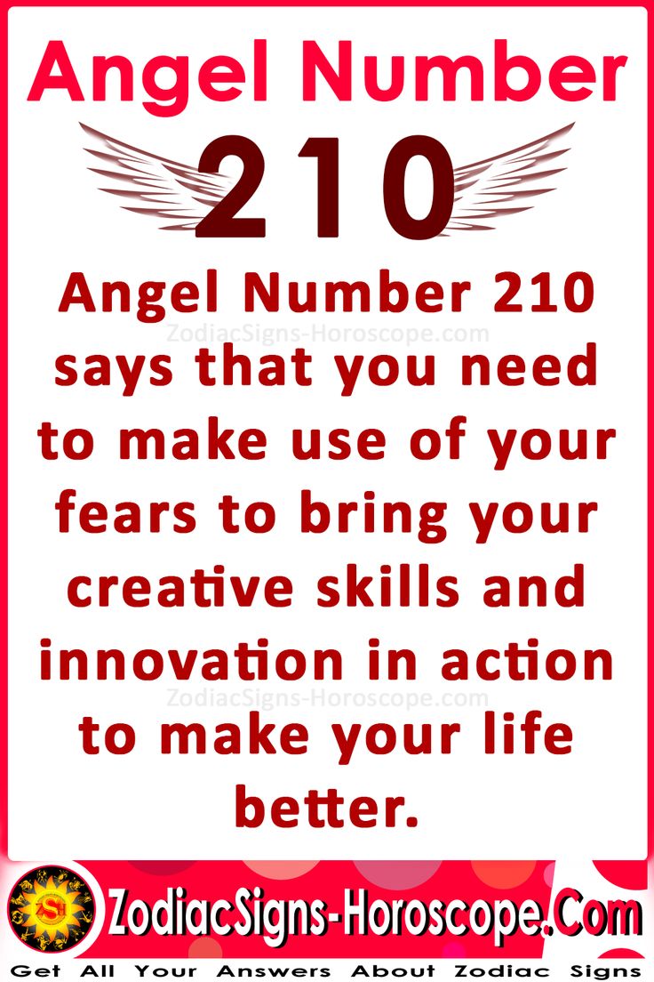 Need to Know the 210 Meaning? Find Out What It Means!