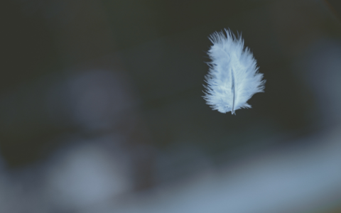 What Does the Number 30 Mean in the Bible? Discover Its Hidden Meanings!