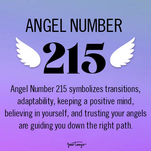 215 Meaning Explained: Easy-to-Understand Definitions