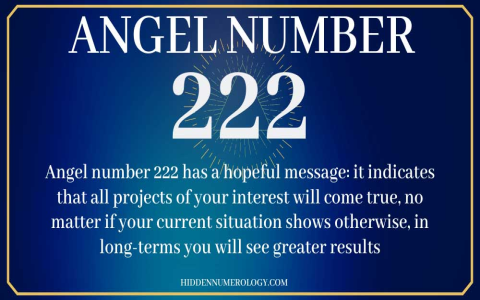 82 Angel Number: What Does It Mean for You?