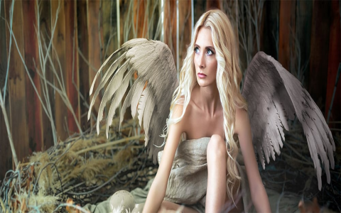 Seeing 1102 Angel Number? Discover What It Means for Your Life!