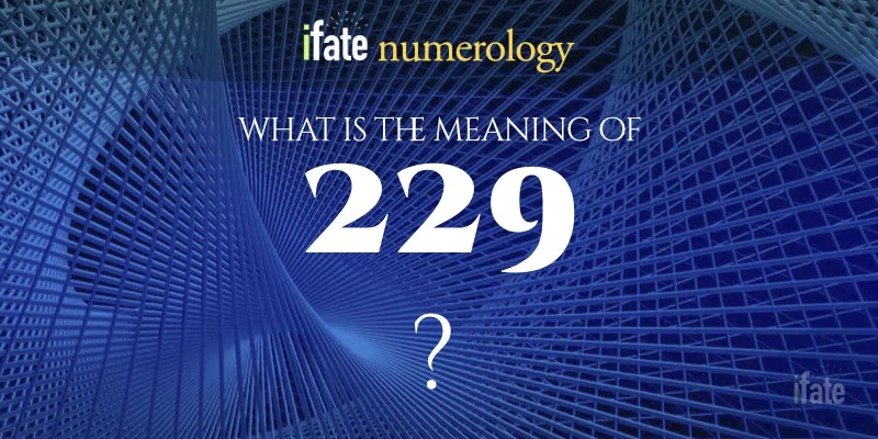Unlock the 229 Meaning: Quick and Simple Definitions.