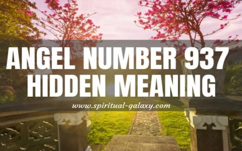 920 Angel Number Meaning: What Is It Trying to Tell You?