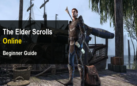 Unlocking the 810 meaning: A Beginners Friendly Guide