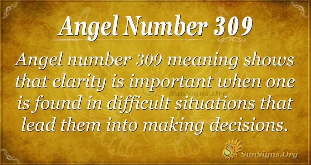 Whats the 309 Meaning Everyones Talking About? (Easy Guide)